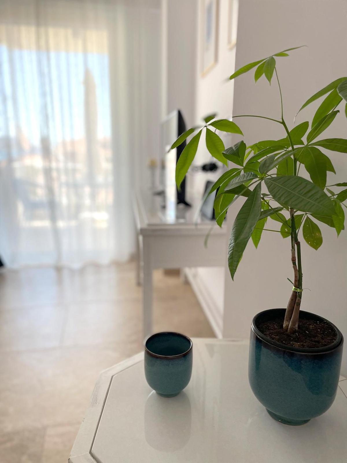 Odysseus Boutique Apartment Ερμιόνη Εξωτερικό φωτογραφία